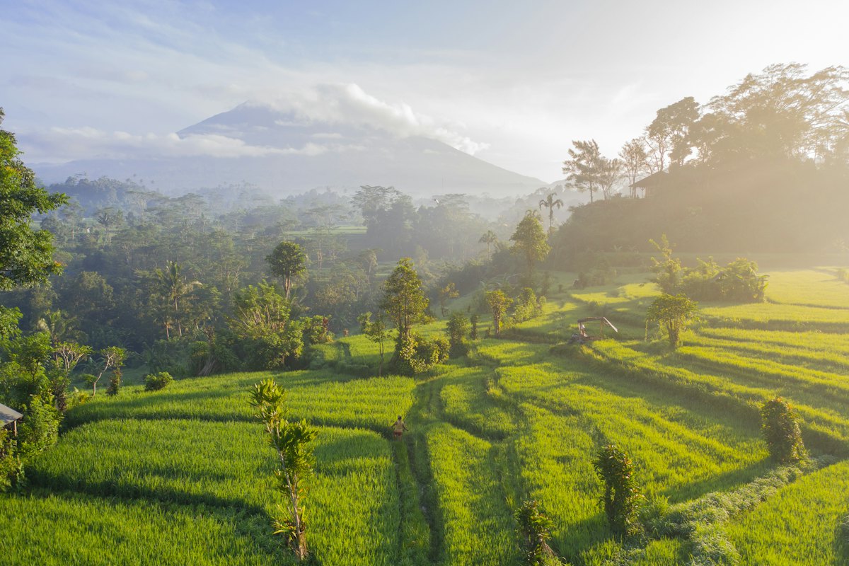 Hamparan sawah berundak menjadi daya tarik utama desa wisata di Bali.